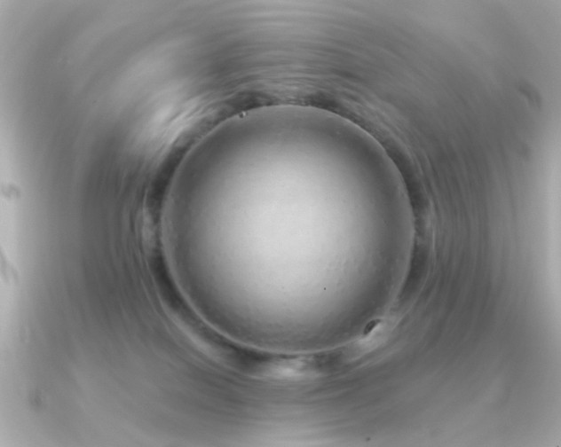 X0000091190086200708091257