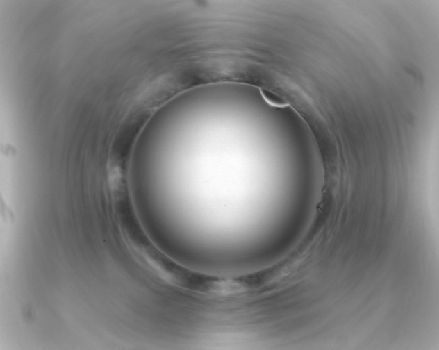 X0000091190087200708091257