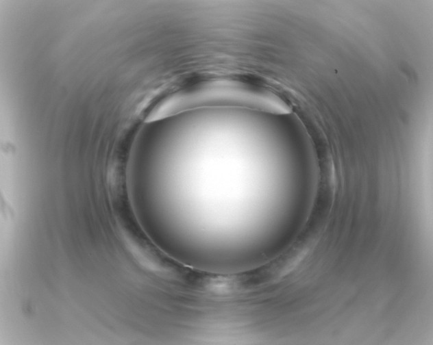 X0000091190088200708091257