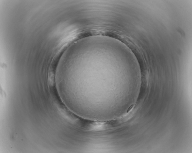 X0000091190090200708091257