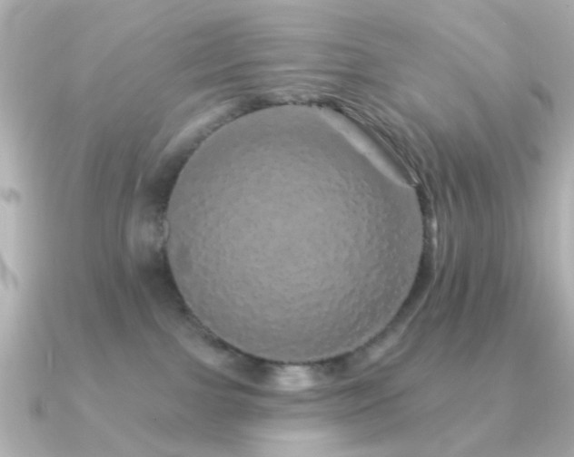 X0000091190091200708091257
