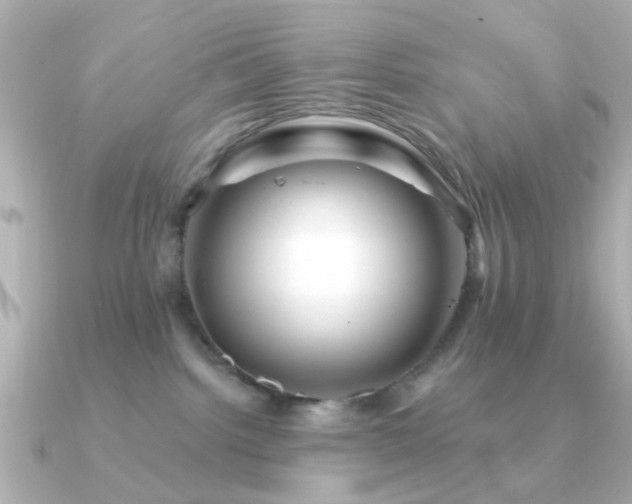 X0000091190092200708091257
