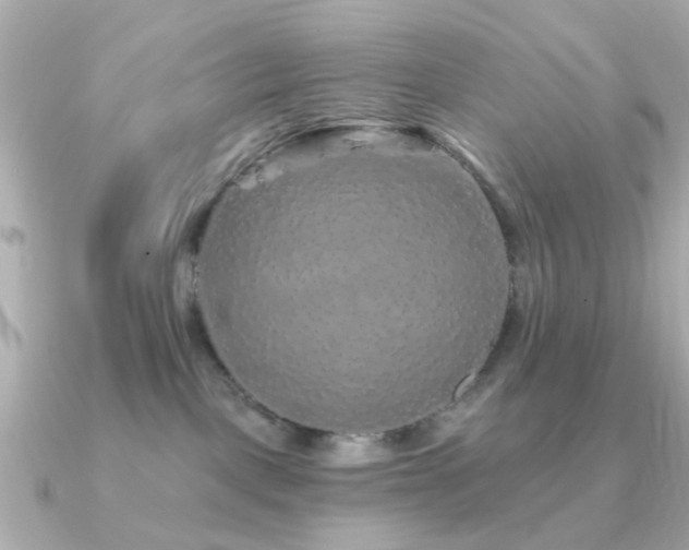 X0000091190093200708091257