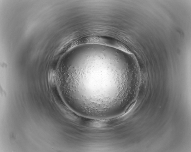 X0000091190094200708091257