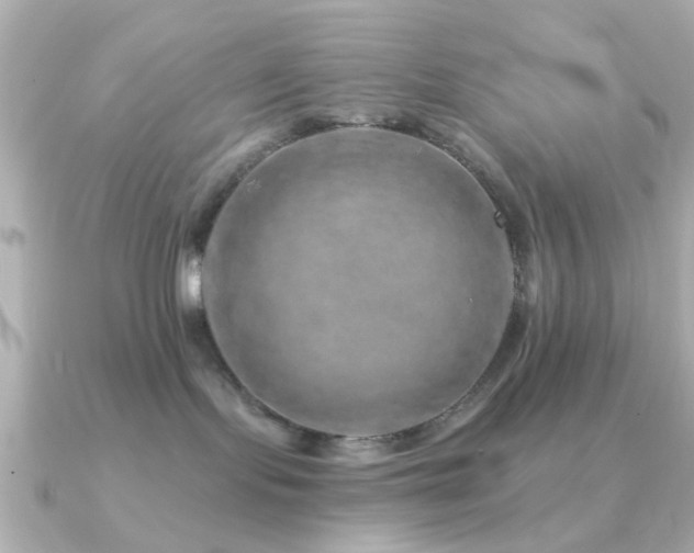 X0000091190095200708091257