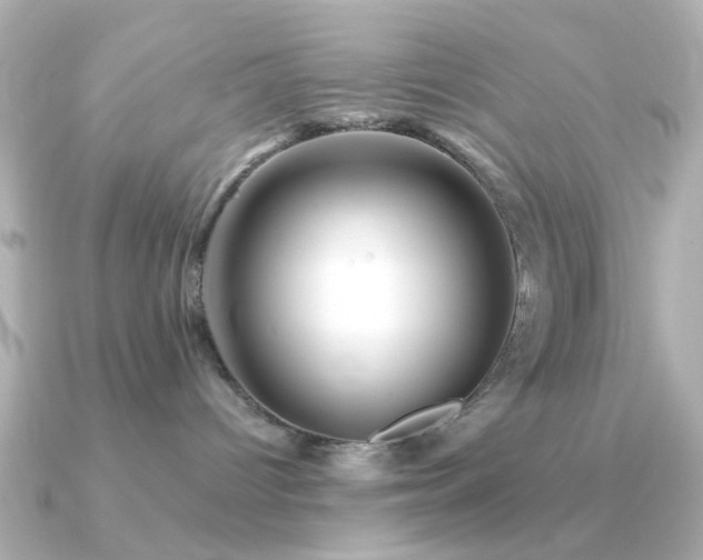 X0000091190096200708091257