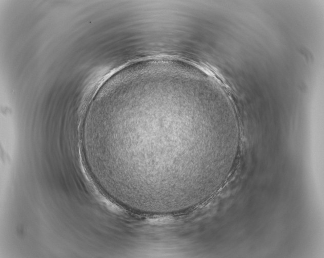 X0000091190097200708091256
