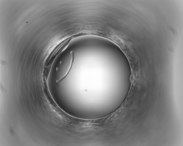 X0000091190098200708091256