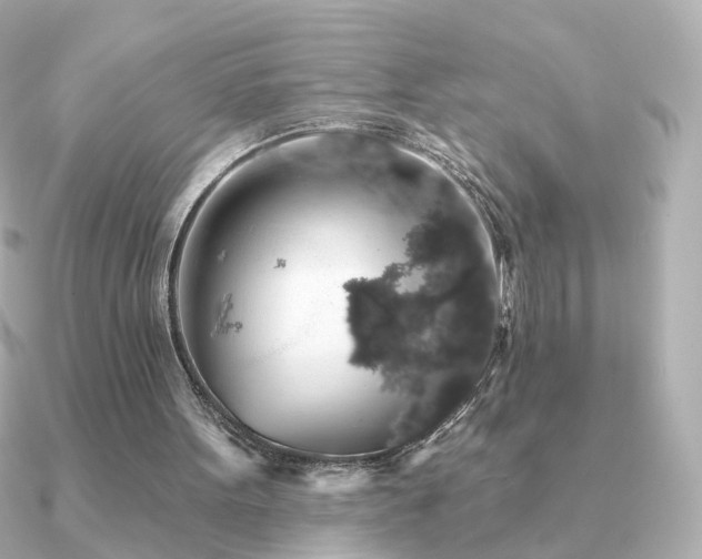 X0000091190099200708091256