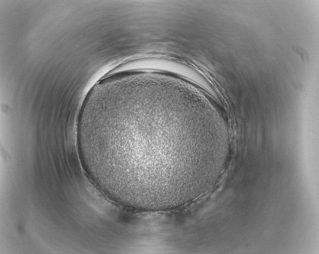 X0000091190100200708091256