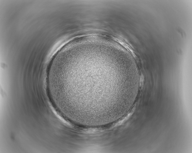X0000091190101200708091256