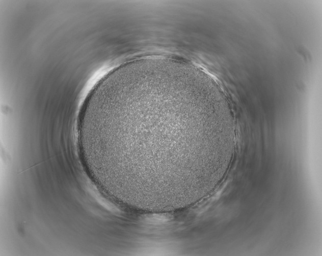 X0000091190102200708091256