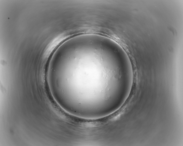 X0000091190103200708091256