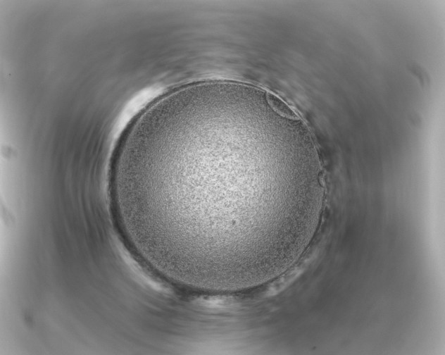 X0000091190104200708091256