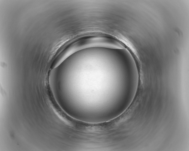 X0000091190105200708091256