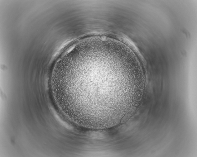 X0000091190106200708091256