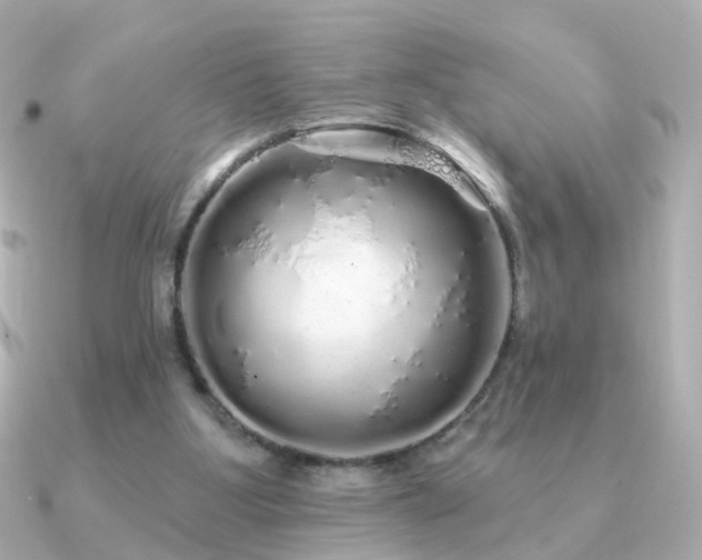 X0000091190107200708091256