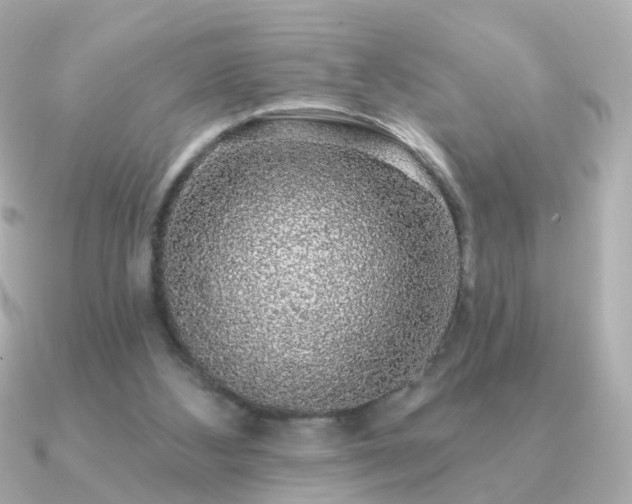 X0000091190108200708091256