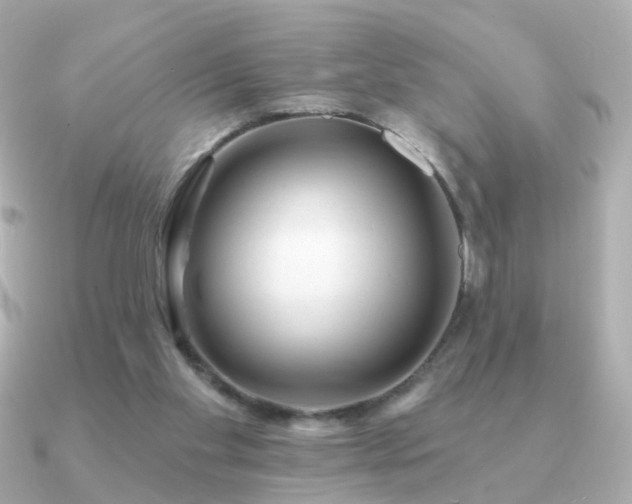 X0000091190109200708091256