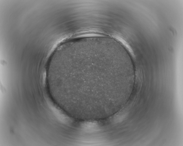 X0000091190110200708091256