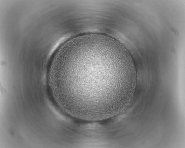 X0000091190112200708091256