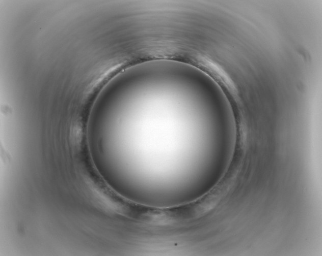X0000091190113200708091256