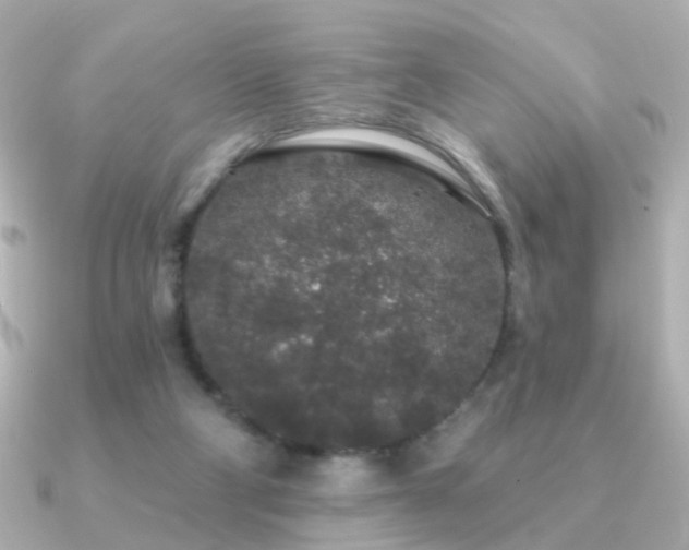 X0000091190114200708091256