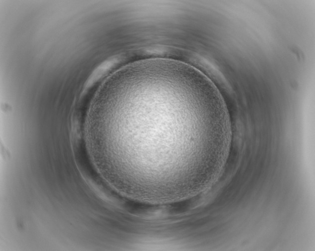 X0000091190116200708091256