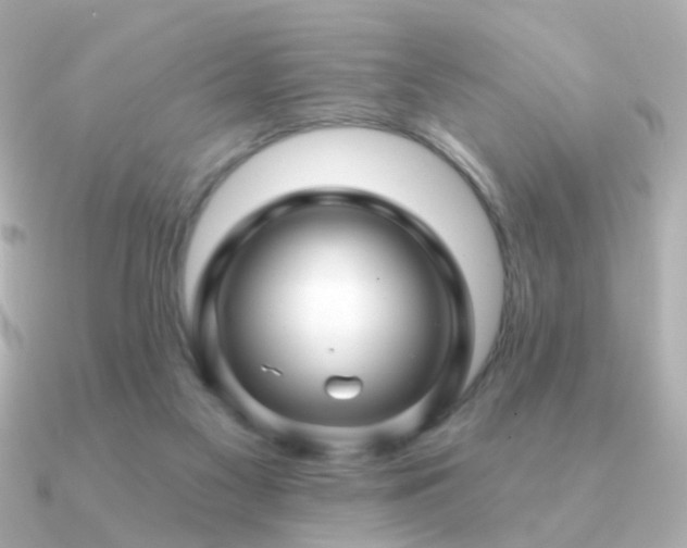X0000091190117200708091256