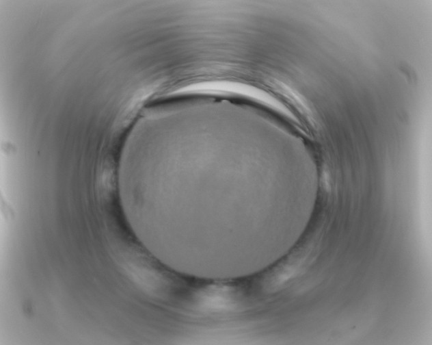 X0000091190119200708091256