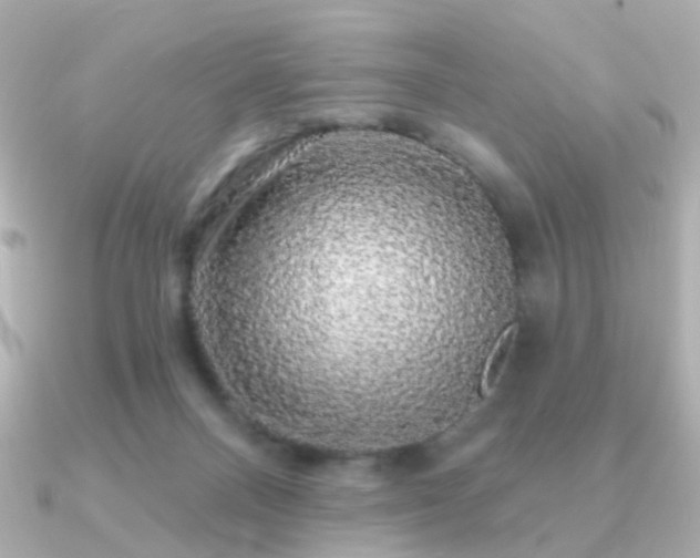 X0000091190120200708091256