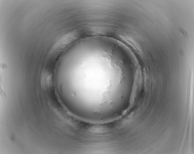 X0000091190123200708091256