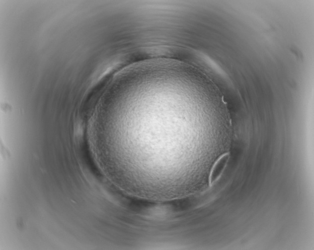 X0000091190124200708091256