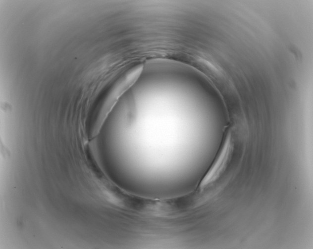 X0000091190125200708091256