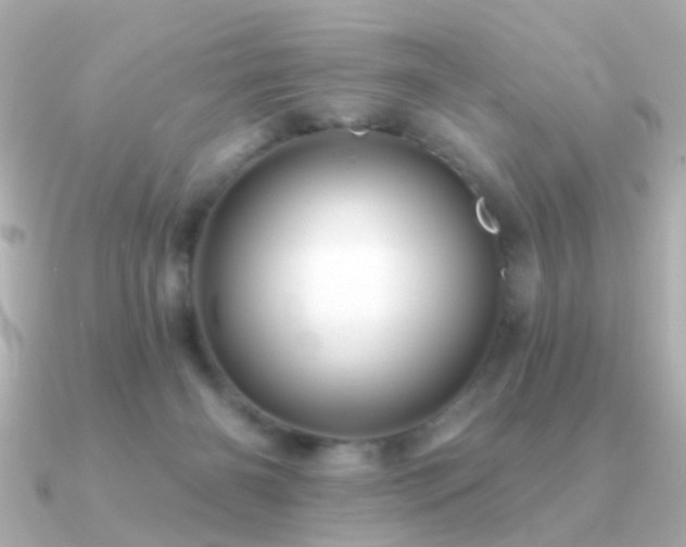 X0000091190126200708091256