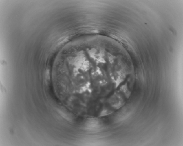 X0000091190127200708091256