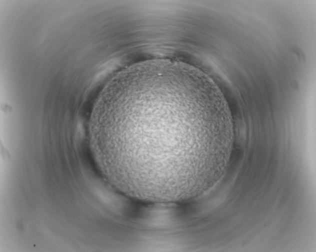 X0000091190128200708091256