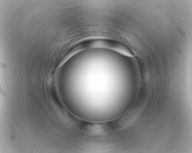 X0000091190129200708091256
