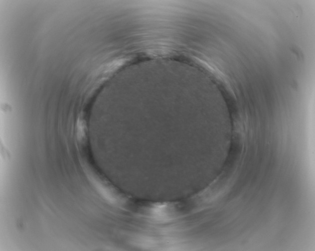X0000091190130200708091256