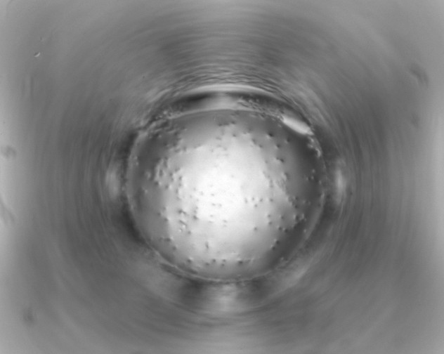 X0000091190131200708091256