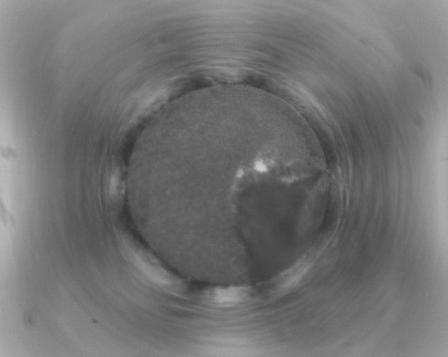 X0000091190134200708091256