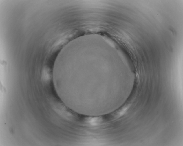 X0000091190135200708091256