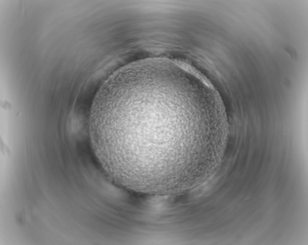 X0000091190136200708091256