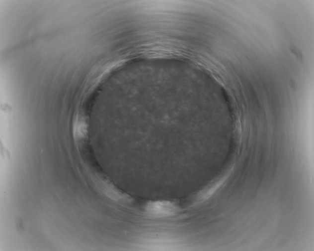 X0000091190137200708091256