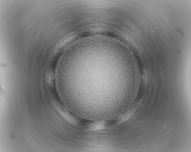 X0000091190138200708091256