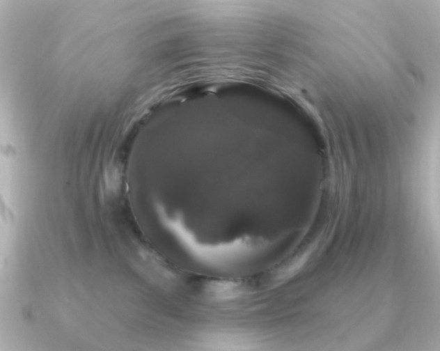X0000091190139200708091256