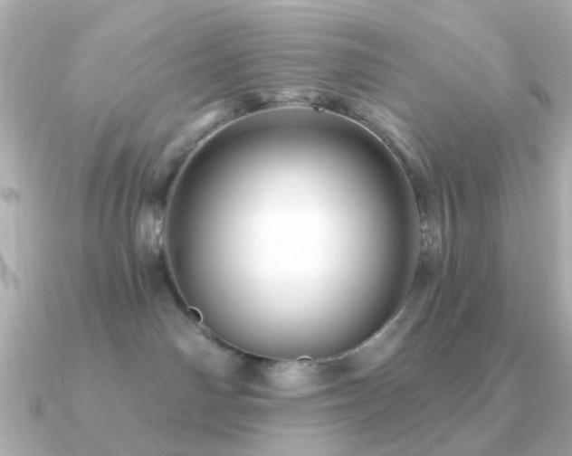 X0000091190142200708091256