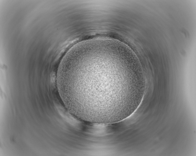 X0000091190144200708091256