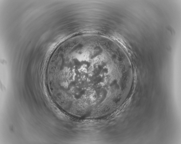X0000091190145200708091255