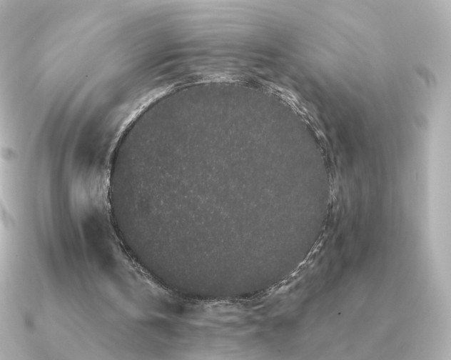 X0000091190146200708091255